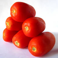 tomates lavados
